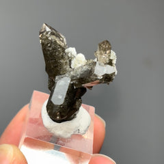 Collection image for: Alpine Smoky Quartz