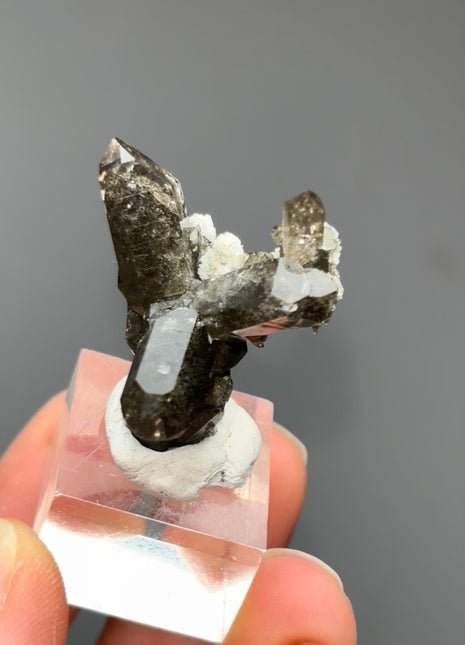 Unique ! Alpine Chlorite Quartz