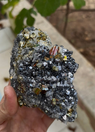 Very Shiny Rainbow Pyrite with Silvery Galena