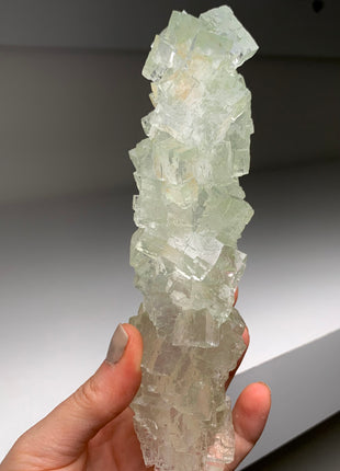 Stunning Green Halite Stalactite - From Lubin mine, Poland