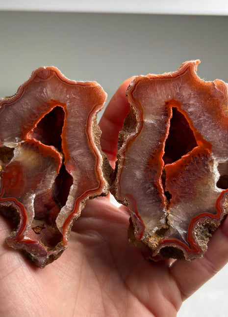 Wow ! Black Sea Agate Geode Pair