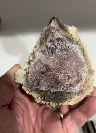 Glowing Amethyst Geode 🍉