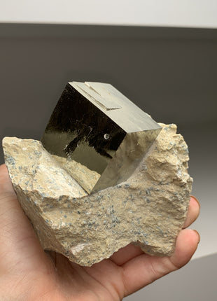 New ! Cubic Pyrite on Matrix from Navajun, Spain