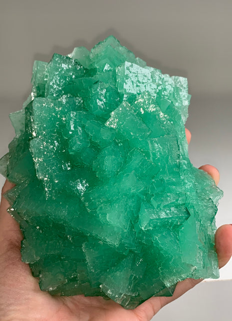 Amazing ! Green Cubic Halite - From Lubin mine, Poland