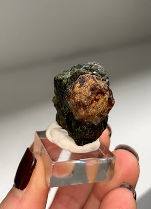 New Arrival ! Red Garnet var. Andradite with Glossy Epidote - From Mali