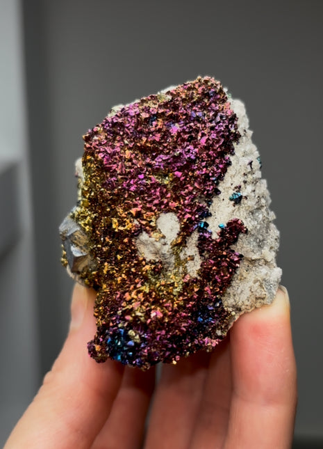 Incredible Chalcopyrite with Pyrite, Dolomite
