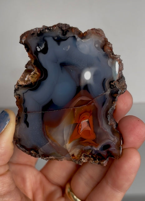 Rare Blue ! Red Fox Agate from Argentina PM1550
