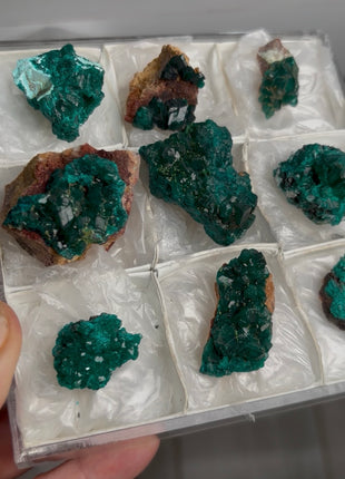 9 Pieces ! Green Dioptase Lot