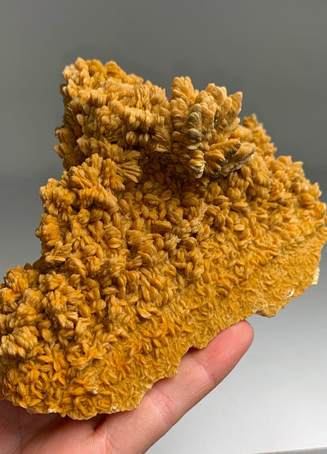 Yellow Barite Flower with Pyrite Collection # 040