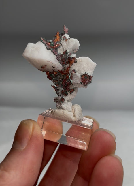 New find ! Native Copper on Quartz