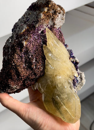 Stunning ! Golden Dragon Calcite with Chalcopyrite PM1351