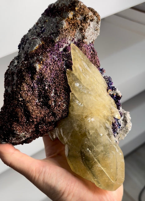 Stunning ! Golden Dragon Calcite with Chalcopyrite PM1351