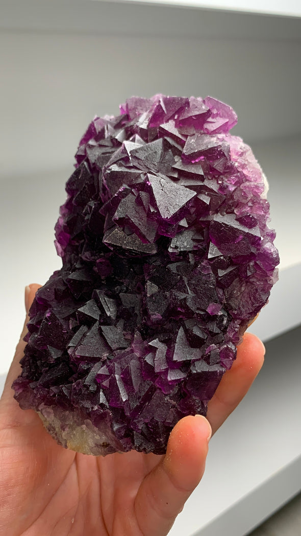 Octahedral Reddish Purple Fluorite