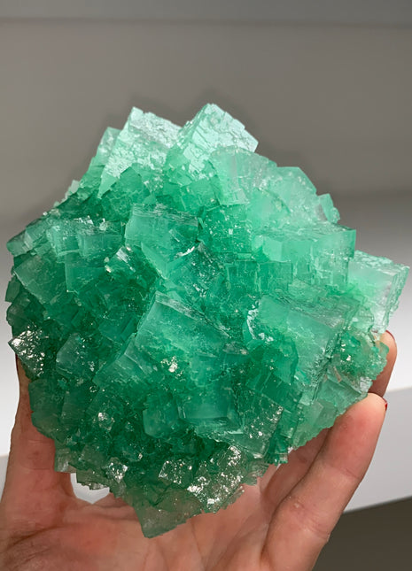 Very High Grade Green Halite - From Lubin mine, Poland