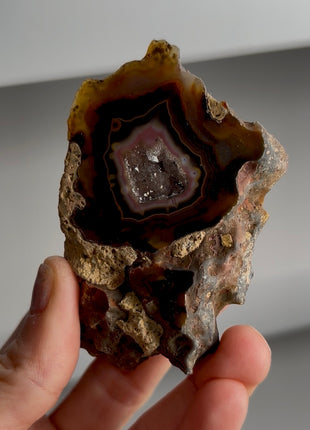 Condor Agate Geode from Argentina