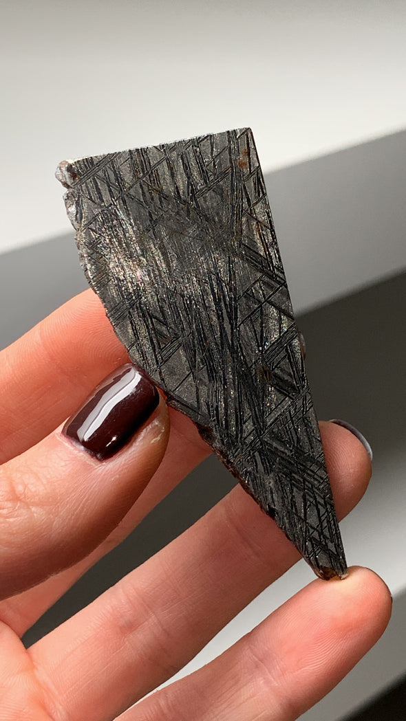 Muonionalusta Meteorite - From Sweden
