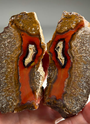 Black Sea Agate Pair