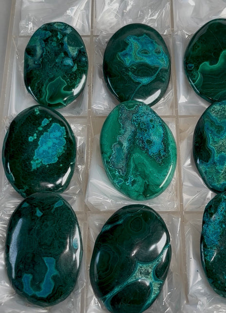 High Grade MalaColla Palmstone Lot ! 9 Pieces