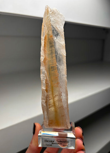 Icy Golden Selenite from Spain