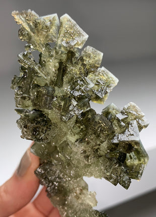 Unusual ! Skeletal Green Halite with Tolbachite