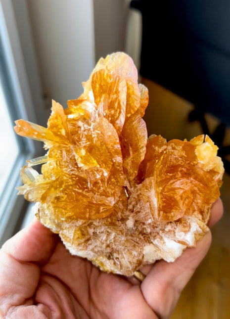 Exquisite 💎 Golden Honey Selenite Flower