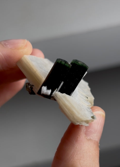Green Cap Tourmaline with Muscovite PM0679