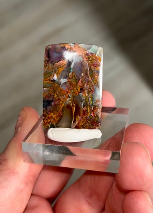 New ! Copper Ore and Blue Chrysocolla in Chalcedony !