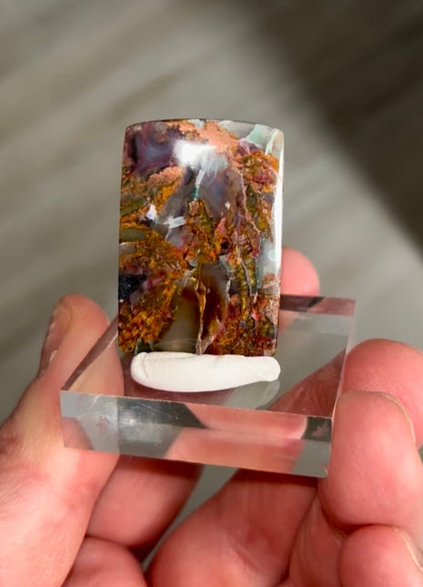 New ! Copper Ore and Blue Chrysocolla in Chalcedony !