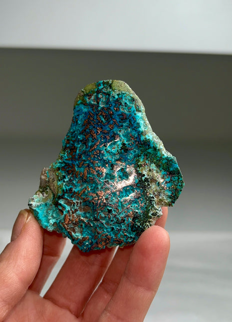 Stunning  ! Native Copper with Chrysocolla