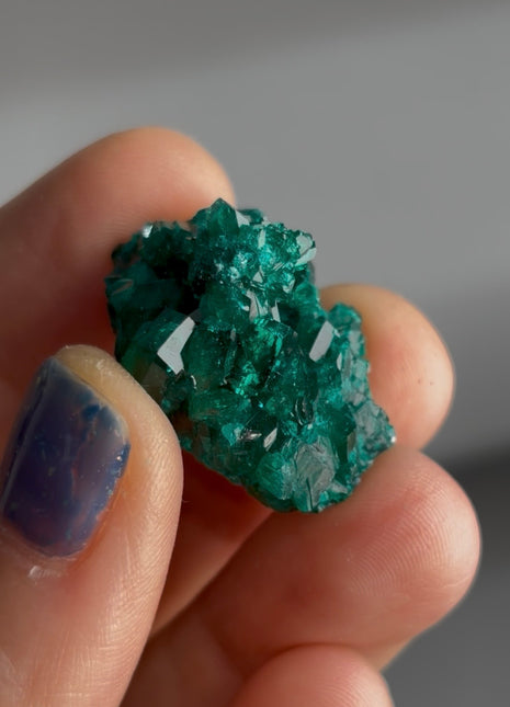 Green Dioptase Specimen PM1640
