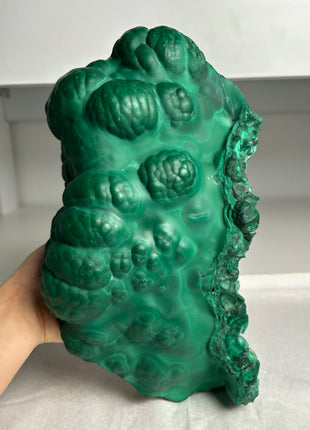 Big Size ! Botryoidal Green Malachite Specimen