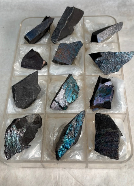 Rare ! Bornite Specimens Lot 🌈 - 12 Pieces