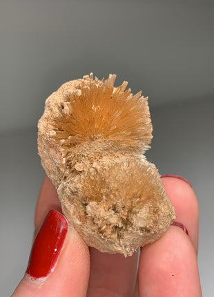 New Arrival ! Bursting Sun Aragonite Ball - From Pantoja, Spain