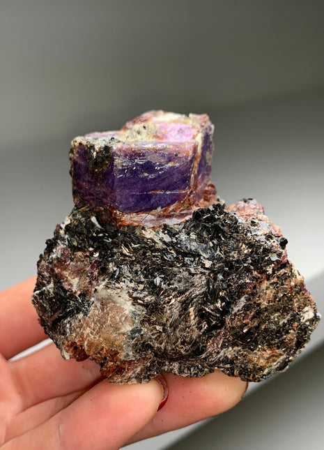Rare Purple Sapphire with Red Garnet and Biotite - From Madagascar # PM087