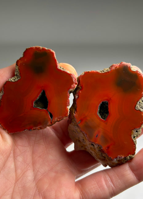 Rare ! Black Sea Agate Pair