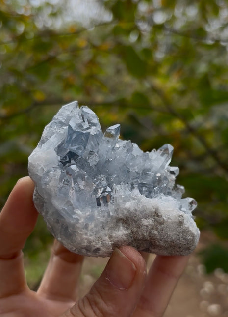 Sky Blue Celestite 💎
