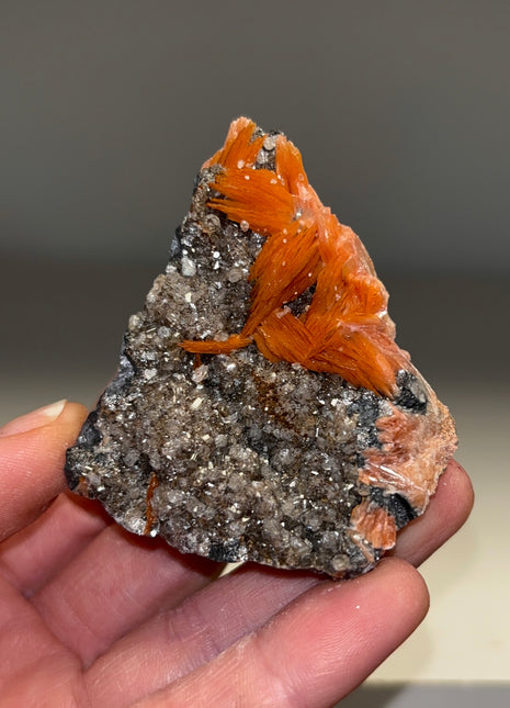 Orange Barite Flowers with Cerussite and Galena