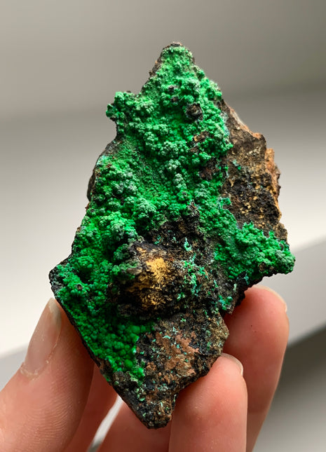 Vibrant Green Conichalcite ! From Spain