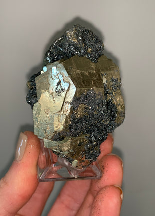 Pentadodecahedral Pyrite with Sparkly Hematite - Elba Island, Italy