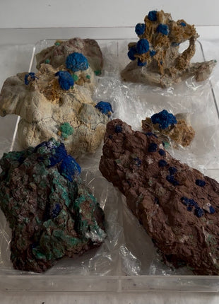 6 Piece Lot ! Rare Blueberry Azurite with Gypsum Specimens