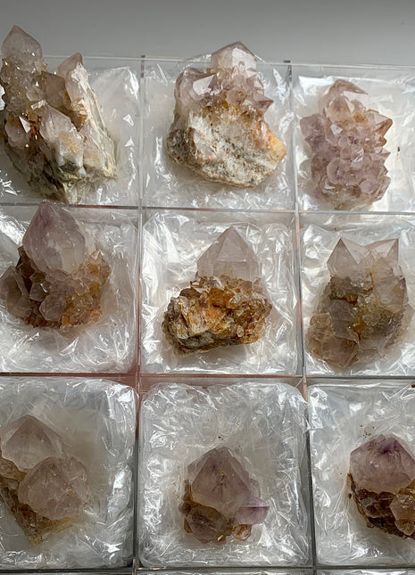 Wow ! Cactus Quartz Smoky Amethyst Clusters Lot From South African Republic - 9 Pieces !