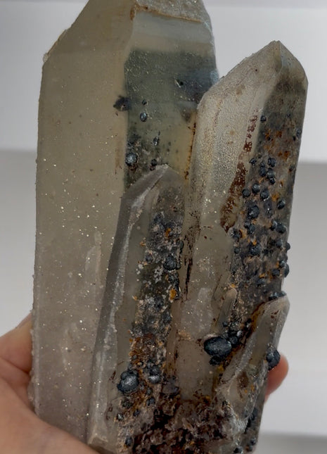Stardust Quartz PM0660