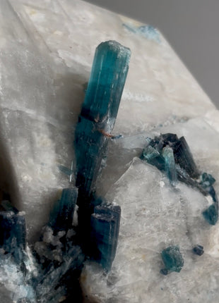 Blue Indicolite Tourmaline with Feldspar PM0684