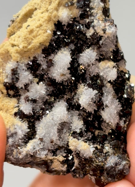 Rainbow Sphalerite with Quartz Flowers PM1229