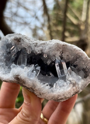 Gem 💎 Blue Celestite Geode