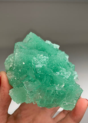 Lustrous ! Green Cubic Halite - From Lubin mine, Poland