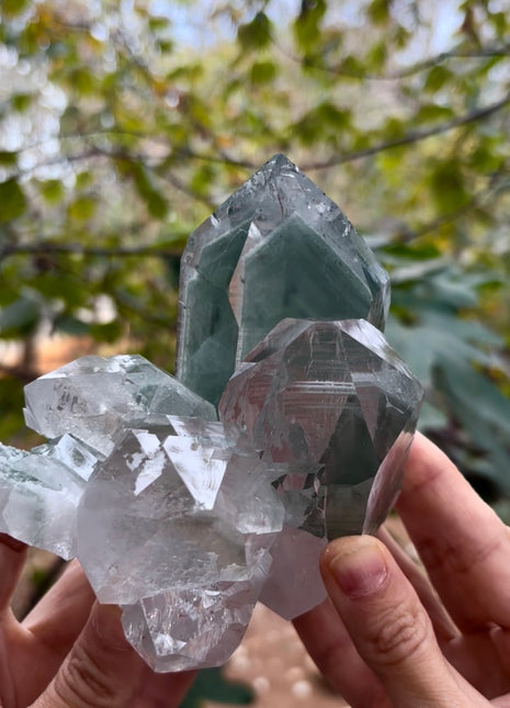 Top ! Himalayan Green Phantom Quartz Collection # 650