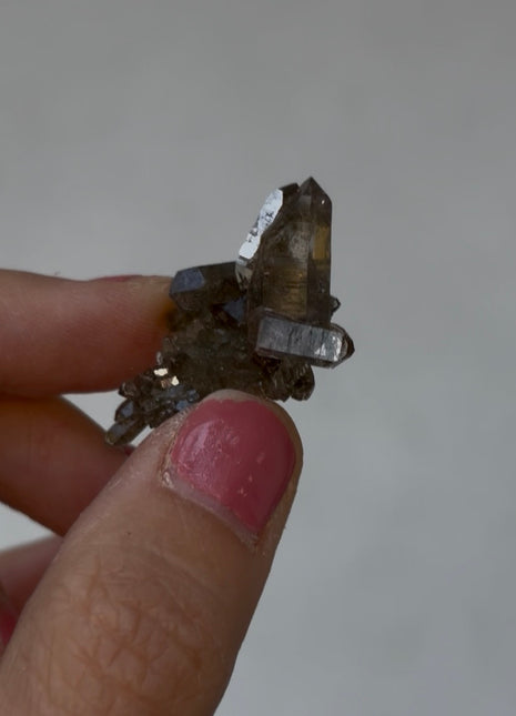 Chlorite Included Quartz - From Chamonix, French Alps