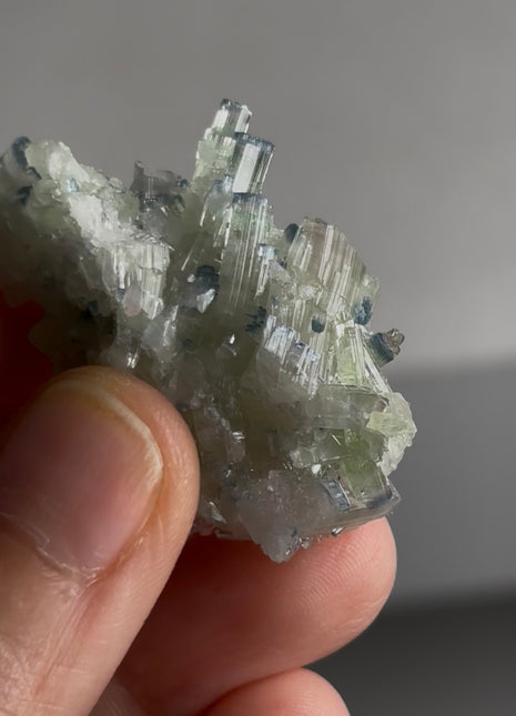 Blue Tip Tourmaline PM0671