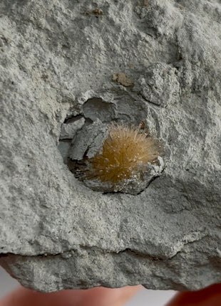 Bursting Sun Aragonite in Cluster - From Pantoja, Spain